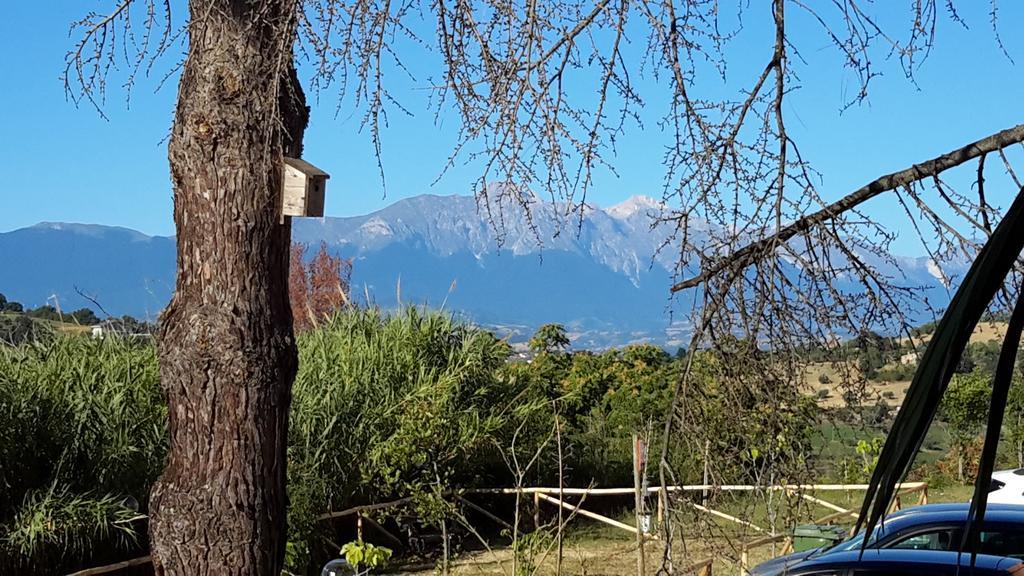 אטרי B&B L'Albero Di Antonia מראה חיצוני תמונה