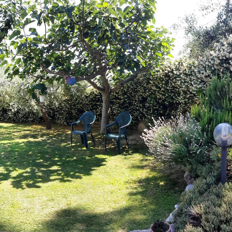 אטרי B&B L'Albero Di Antonia מראה חיצוני תמונה
